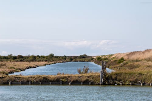 Grass Covered Land Surrounding a Body of Water