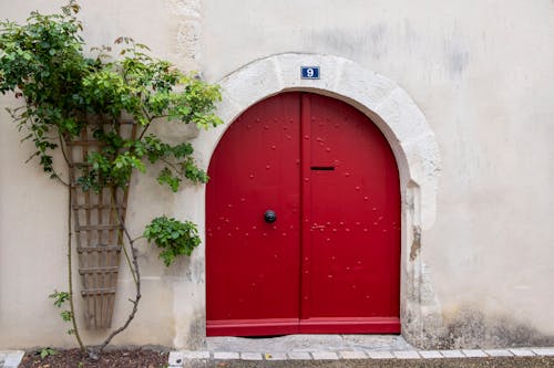 A Red Door Beside Green Plants on the Wall