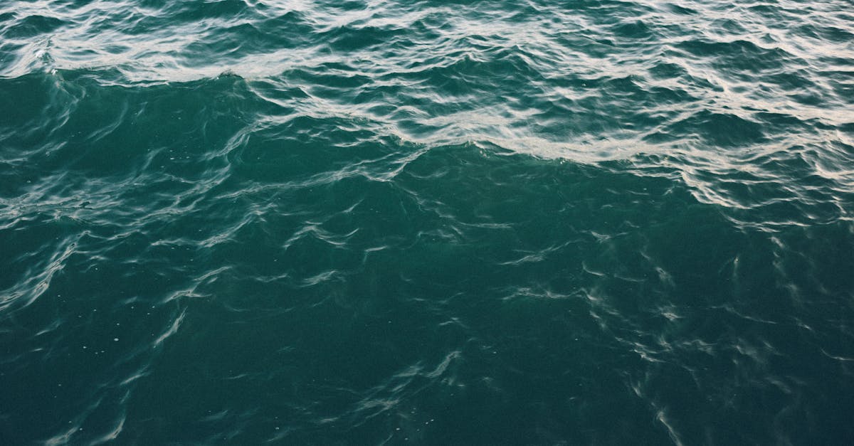 Photo by Josh Sorenson Tranquil ocean waves gently flowing on a clear day, showcasing the beauty of the sea.