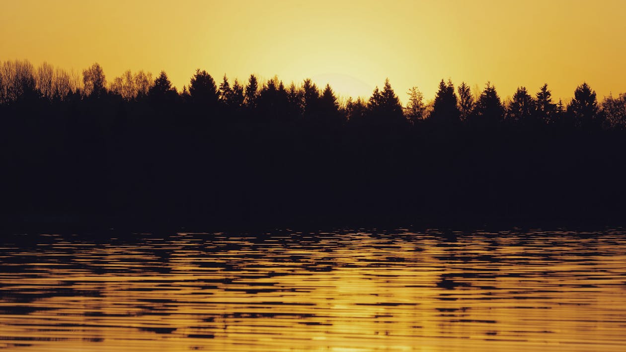 Základová fotografie zdarma na téma horizont, jezero, příroda