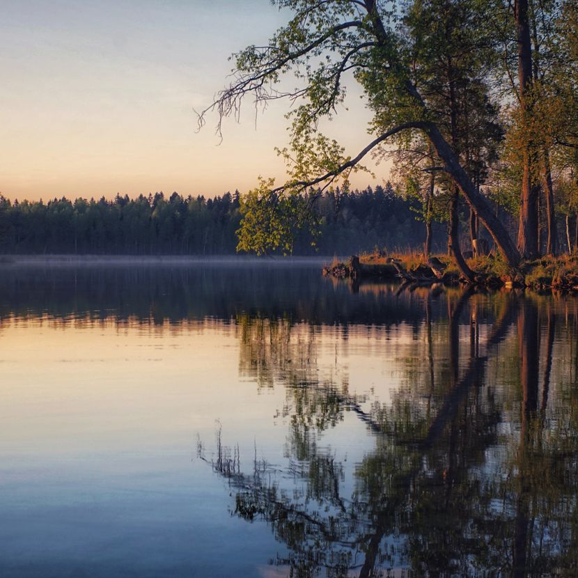 Still lake at sunrise with mist drifting over the far treeline — photo by Artem Zykin on Pexels