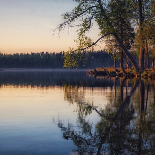 Free Tranquil scene of a lake reflecting trees in Ussadye, Russia, at sunrise. Perfect natural harmony. Stock Photo