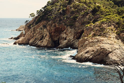 Brown Islet Rock