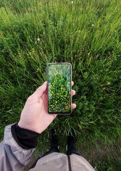 A person holds a smartphone displaying a grassy field with yellow flowers.