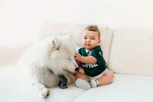 Kostenloses Stock Foto zu baby, drinnen, gucken