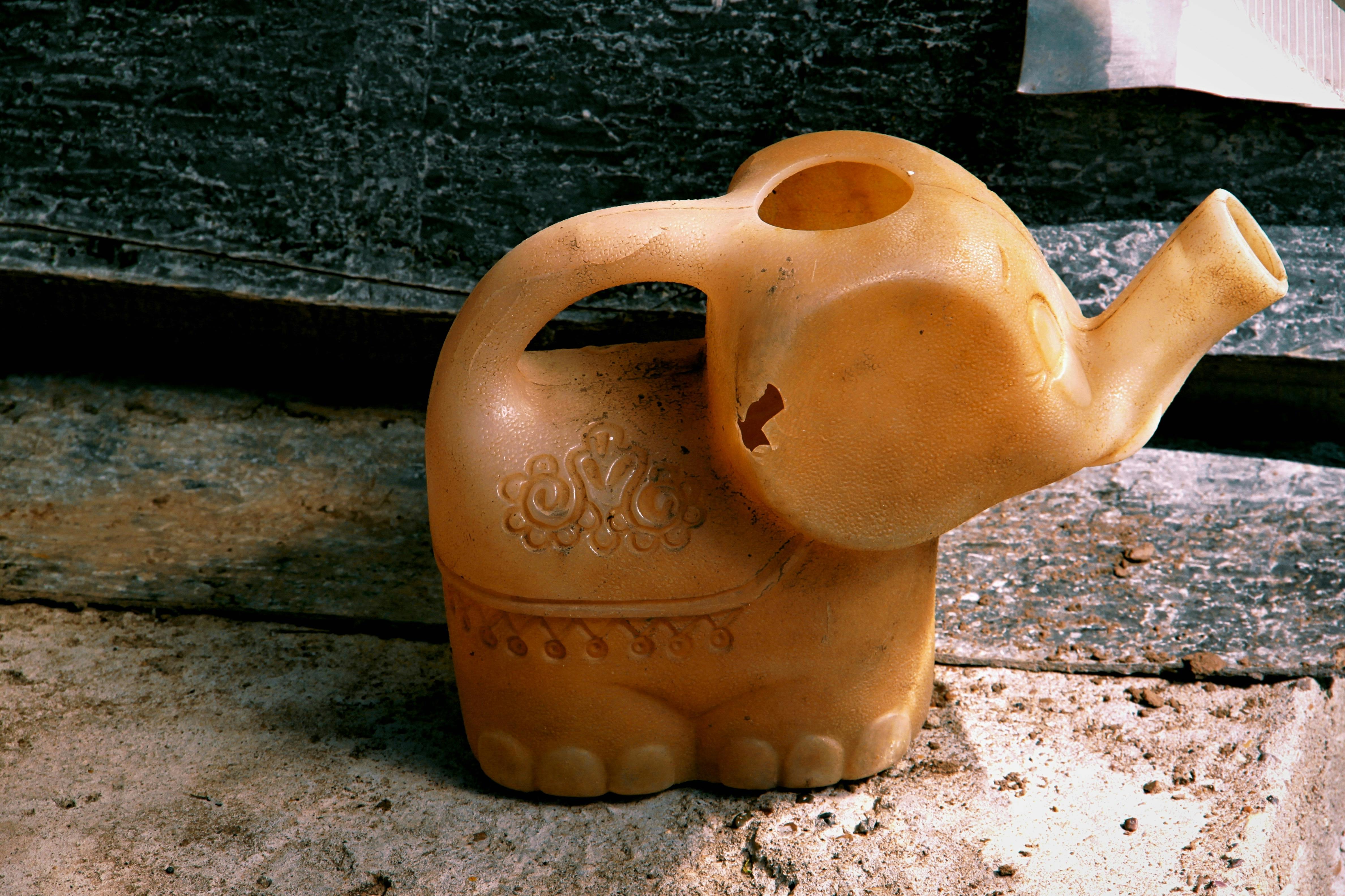 Alla Zhuk Fotografie