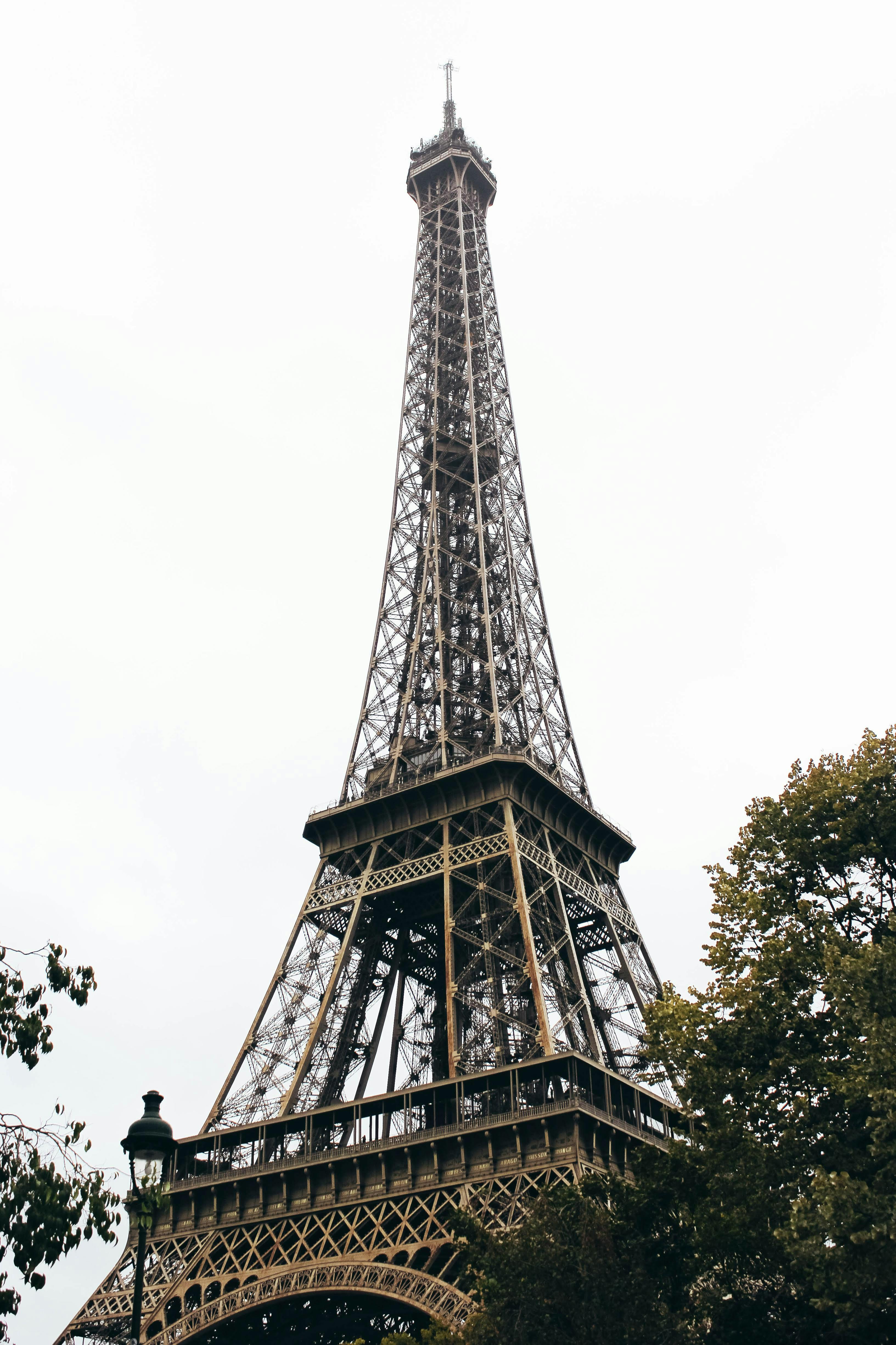 Low angle shot of Eiffel Tower amidst trees, an iconic Paris landmark.