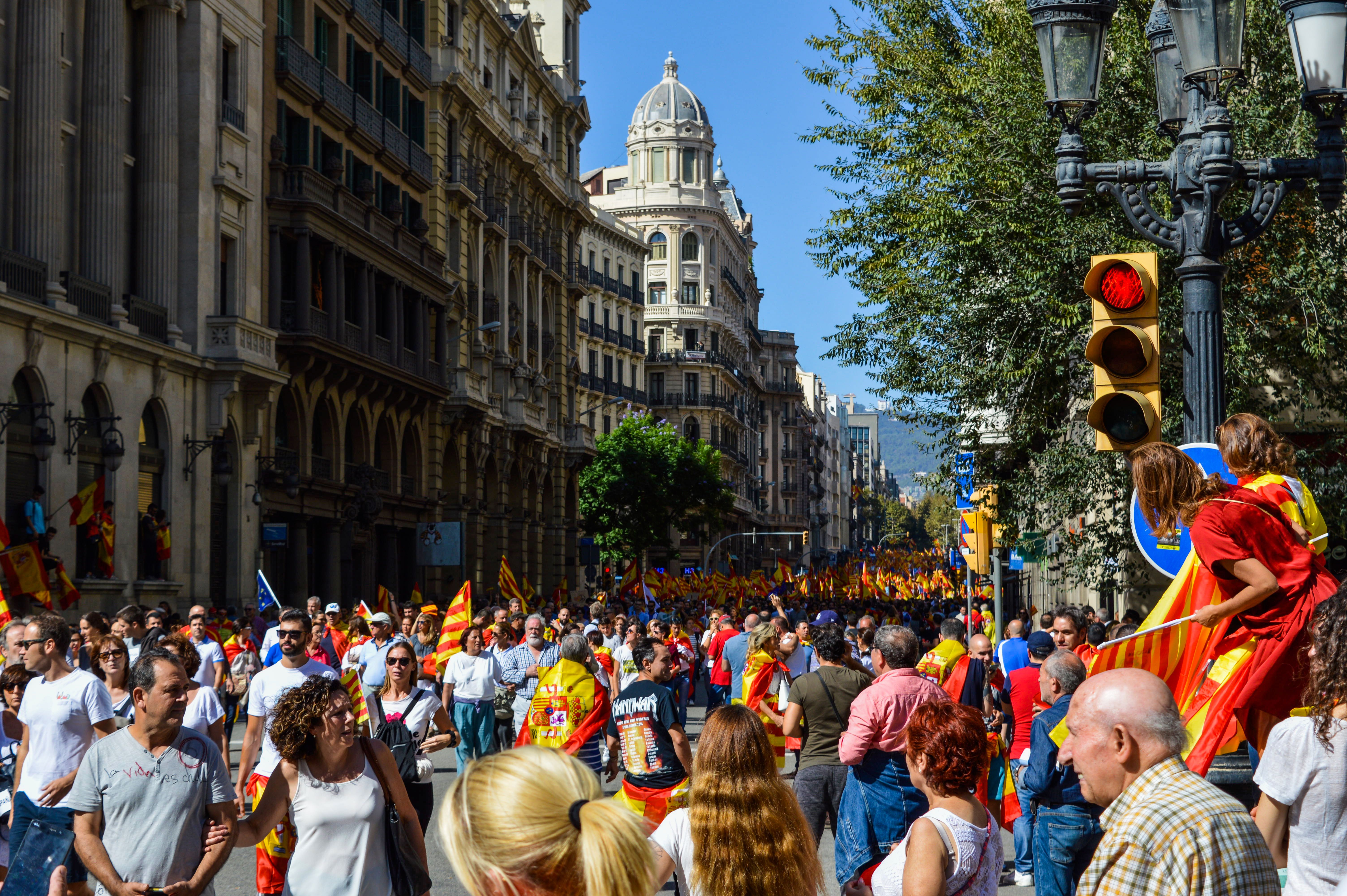 Photo of People Rallying in the Street · Free Stock Photo