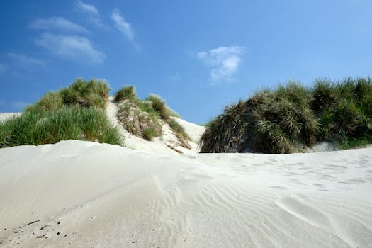 Stavanger, Norway photo 9