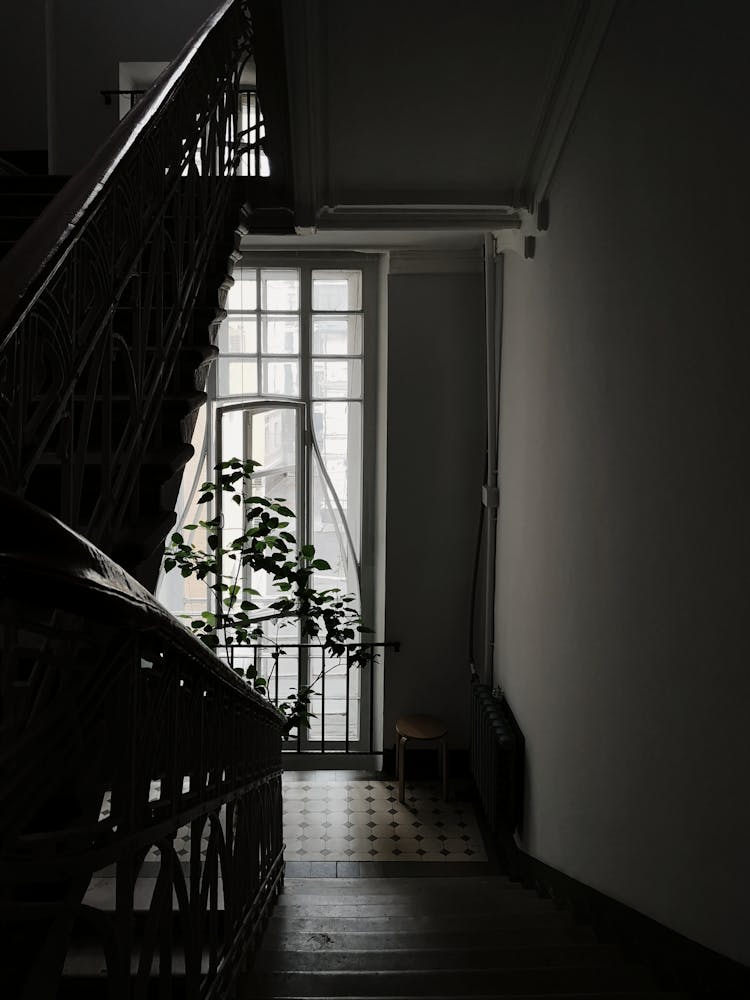 

A Dark Building Stairwell