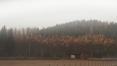 Free stock photo of autumn, forest, hut