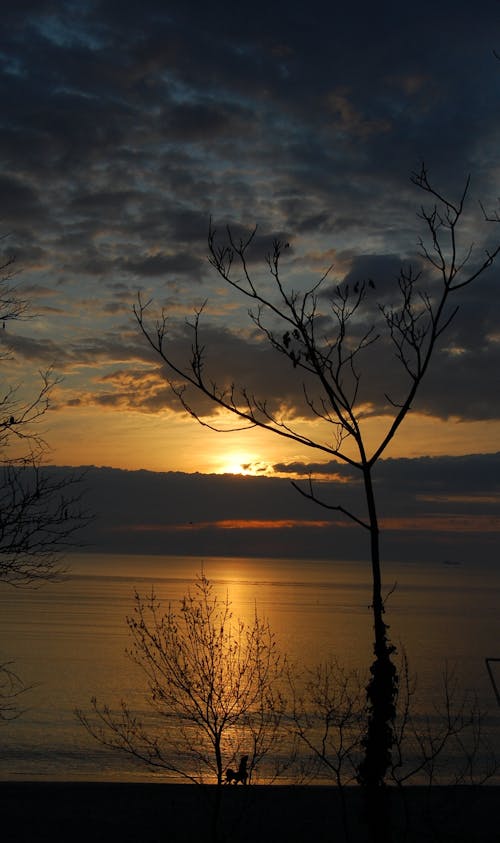 Free stock photo of sea, sunset