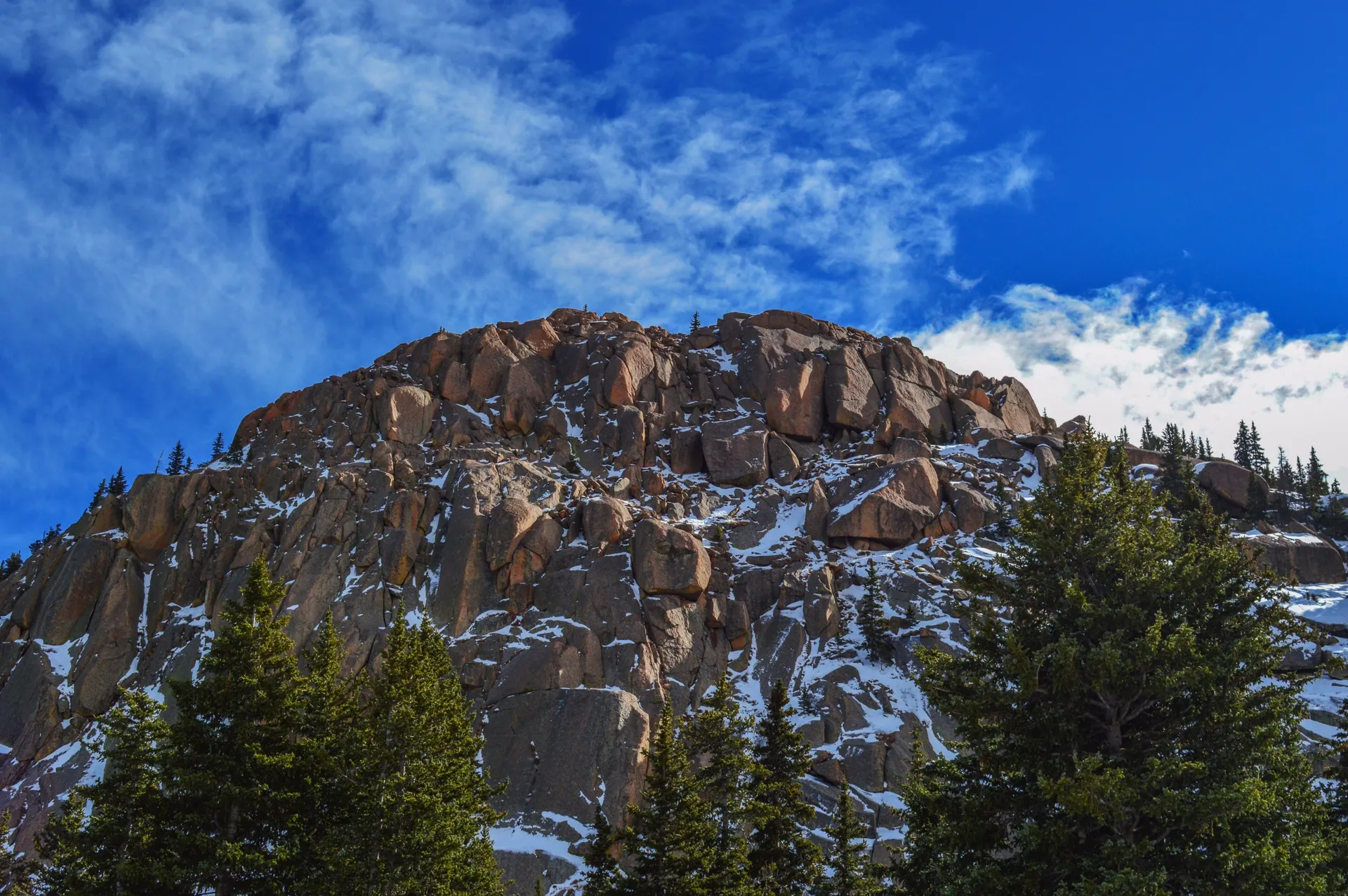 Where to See Elk in Rocky Mountain National Park and Estes Park