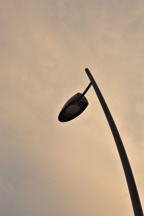 Silhouette of Lamp Post during Sunset