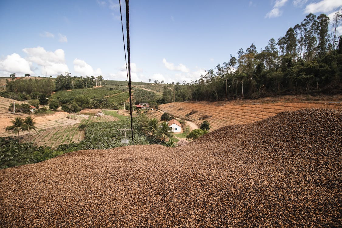 Immagine gratuita di agricoltura, azienda agricola, campagna