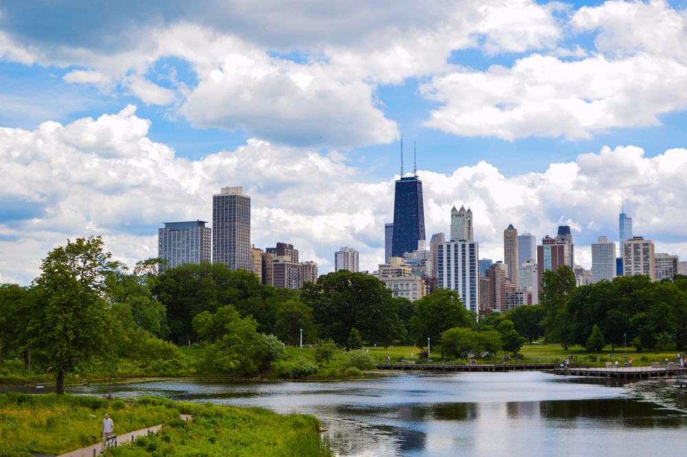 Chicago buildings seen across Lincoln Park