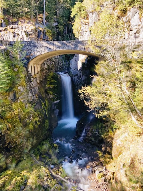 Waterfalls in the Forest