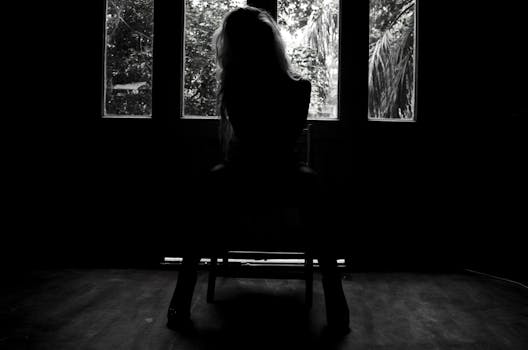 一名女子坐在室内，形成戏剧性的黑白剪影，窗外是景色