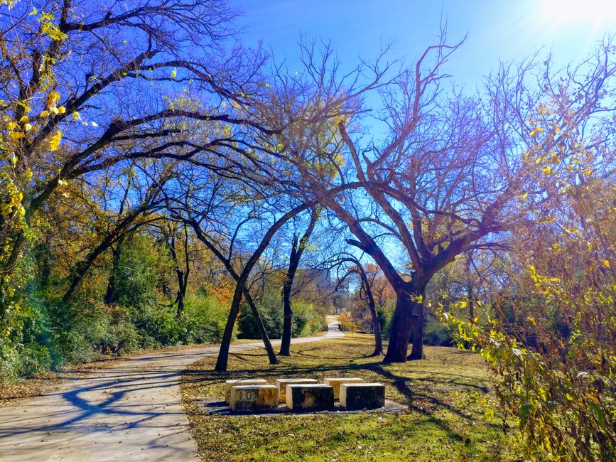 Beautiful autumn park with trees and a winding path on a sunny day.