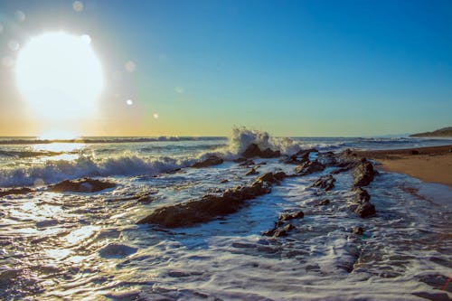 無料 海岸と太陽のポートレート写真 写真素材