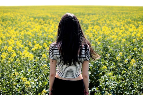 Woman in White and Black Striped Crop Top Facing Field 