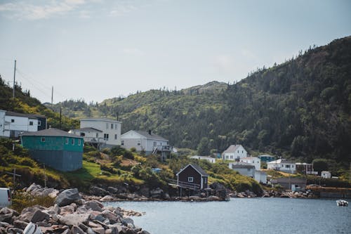 deniz kıyısında, evler, fiyort içeren Ücretsiz stok fotoğraf