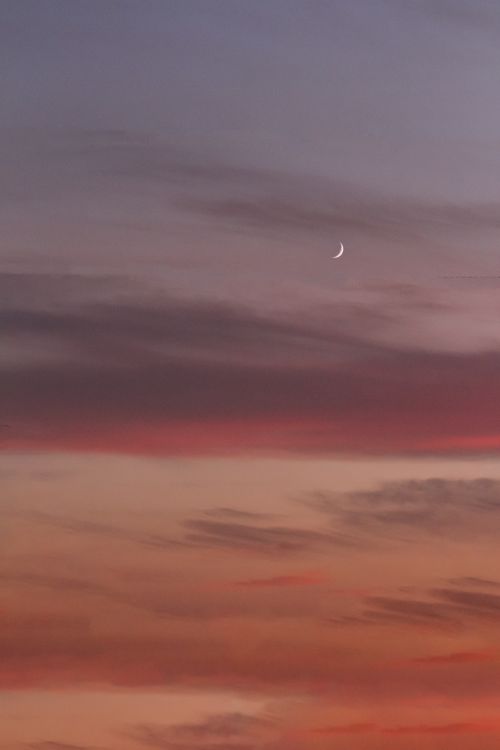 Free A peaceful twilight sky featuring a crescent moon and colorful clouds in a vertical composition. Stock Photo