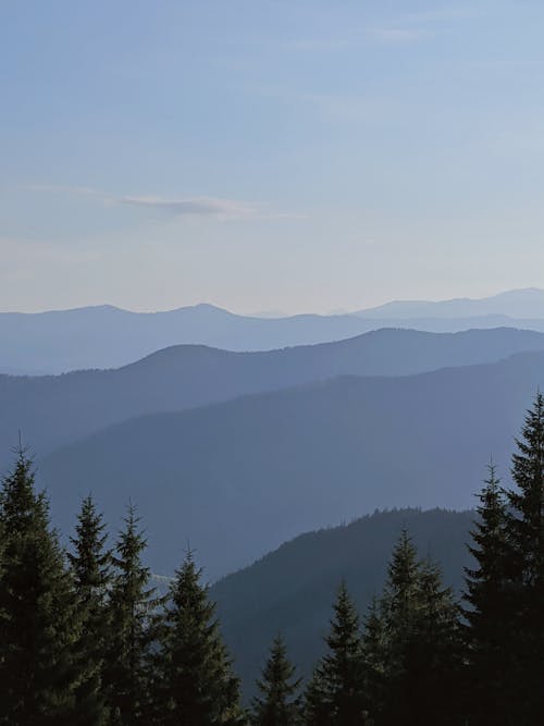 Gratis stockfoto met bergen, dronefoto, groenblijvende bomen