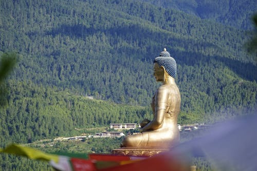 Kostnadsfri bild av bergen, bhutan, buddha dordenma staty