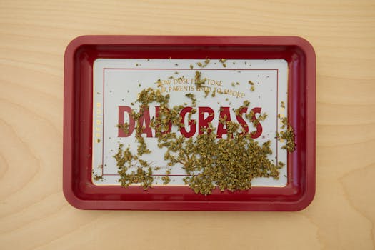 A red tray labeled 'Dad Grass' with cannabis on a wooden surface, ready for use.