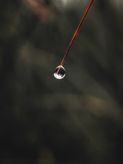 Close-Up Shot of a Water Droplet
