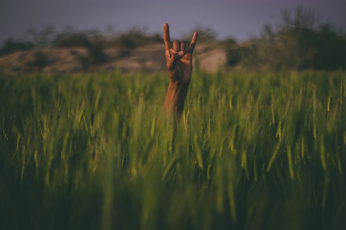 Free Shallow Focus Photography of Person Hand Stock Photo