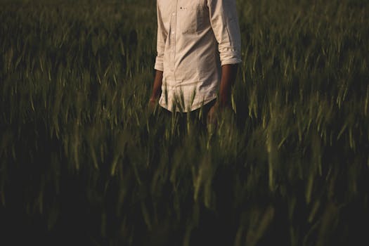 日落时分，一名男子身穿白衬衫，站在郁郁葱葱的麦田里