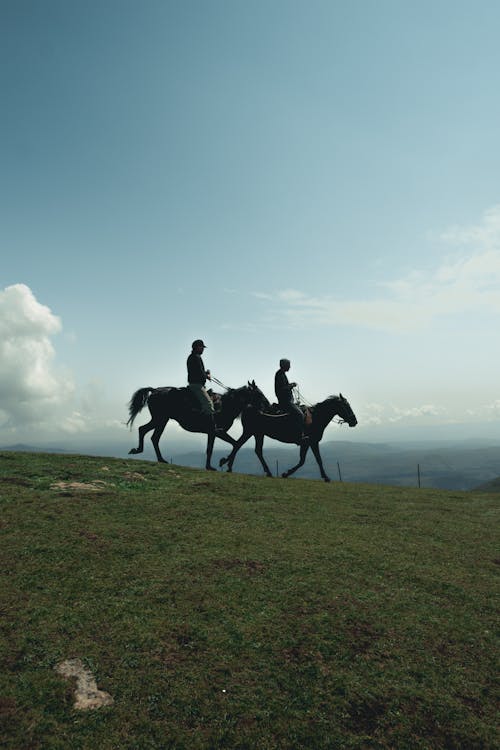 Foto profissional grátis de andar a cavalo, ao ar livre, cavalos