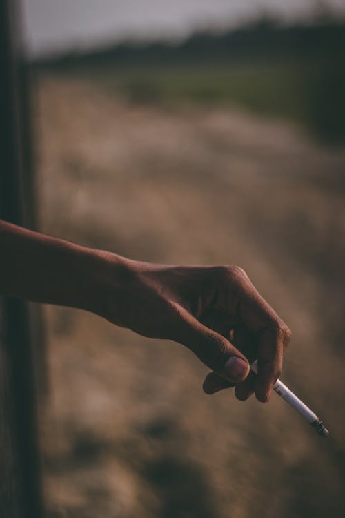 Free Person's Left Hand Holding White Cigarette Stick Stock Photo