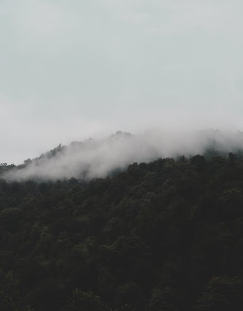 Foto stok gratis alam, berkabut, gunung