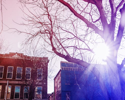 Free stock photo of city, lincoln, nebraska