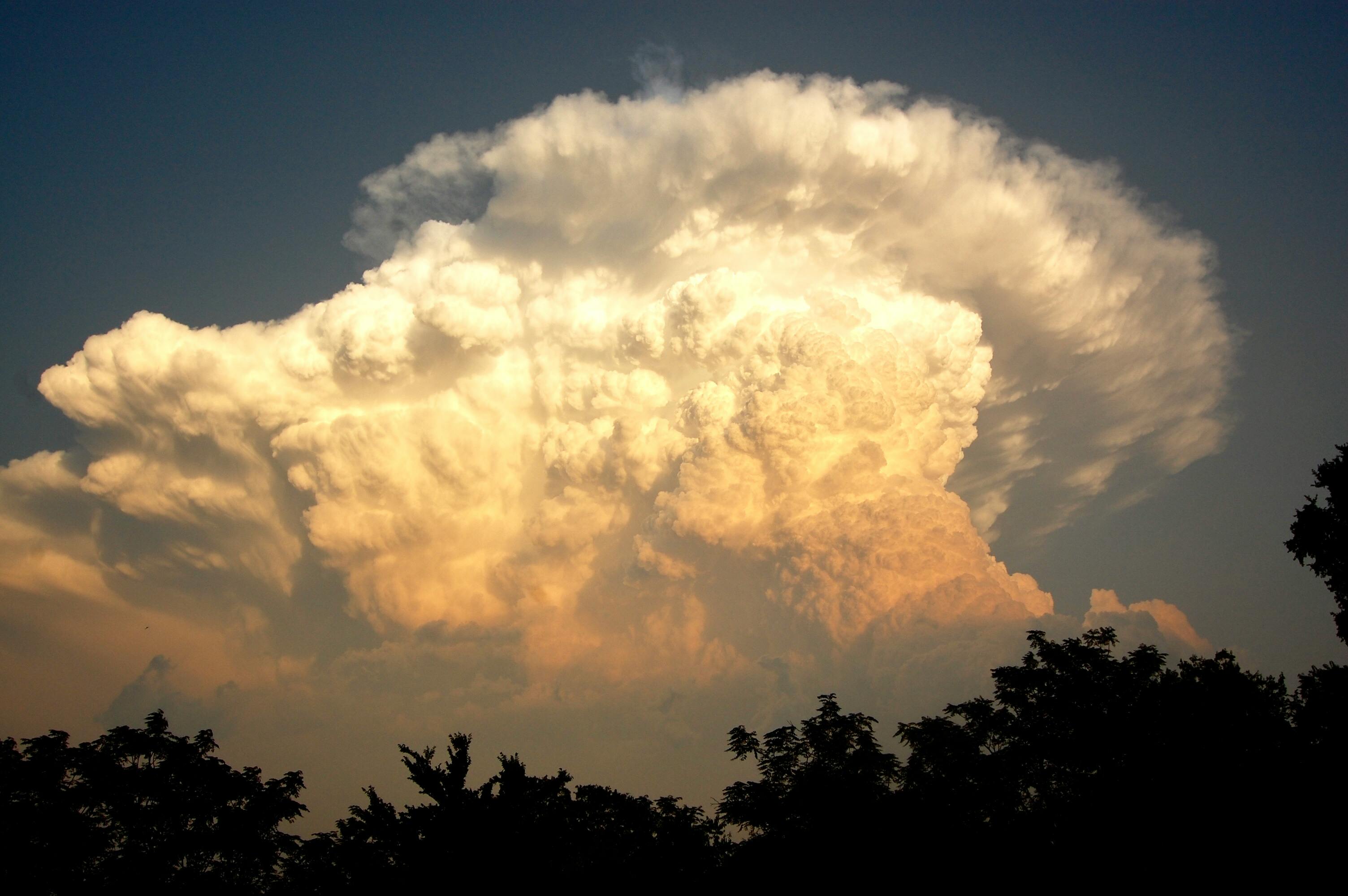Stunning cumulonimbus cloud towering over silhouetted trees during a dramatic sunset sky.