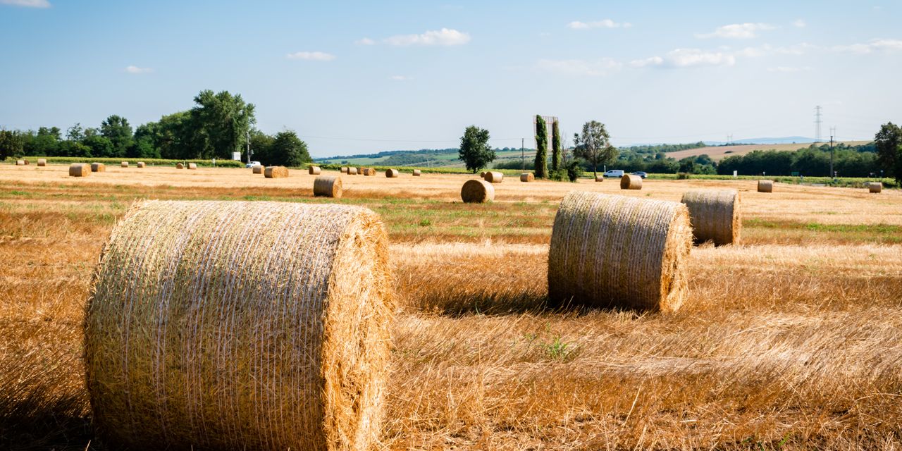 A scenic rural farmland with hay bales under a clear summer sky, showcasing agricultural beauty.