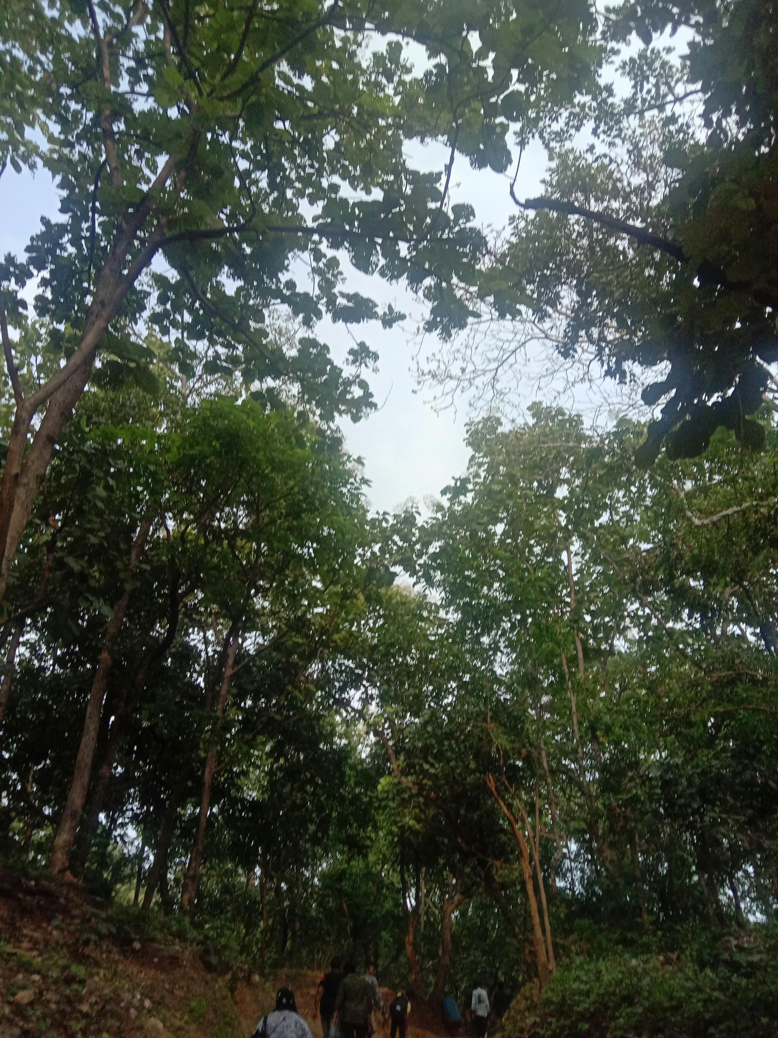 Dark financial district