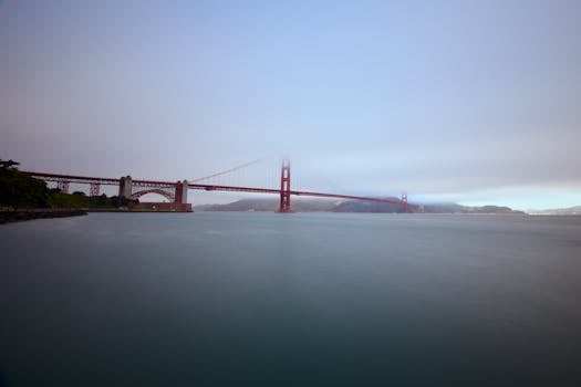 San Francisco, United States photo 21