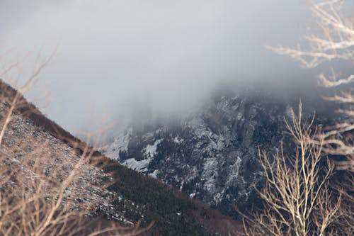 бесплатная Бесплатное стоковое фото с горы, деревья, закат Стоковое фото
