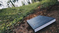 花园里一条长满草的户外小路上放着一本精装书