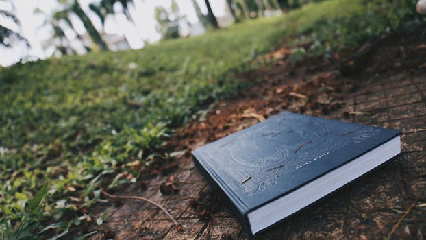花园里一条长满草的户外小路上放着一本精装书