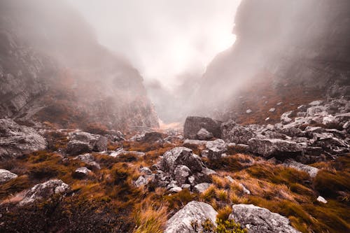 Gray Stones in Grassy Mountains during Foggy Day