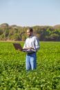 Man Using Laptop in the Field