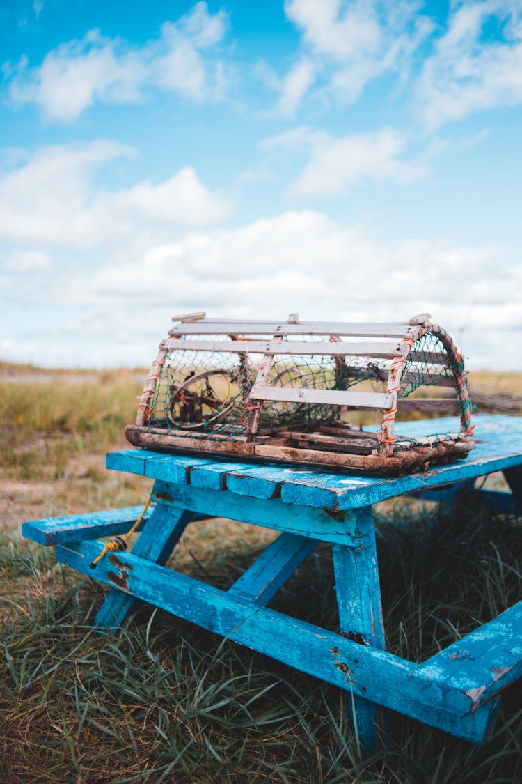 Broken Lobster Pot On Top Of A Picnic Table