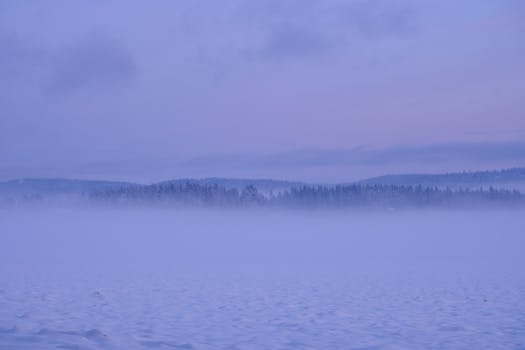 Breathtaking view of a foggy winter landscape with mist over snowy fields at dawn.