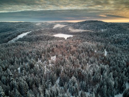 Free A serene aerial shot of a snow-covered forest in Lørenskog, Norway during winter twilight. Stock Photo