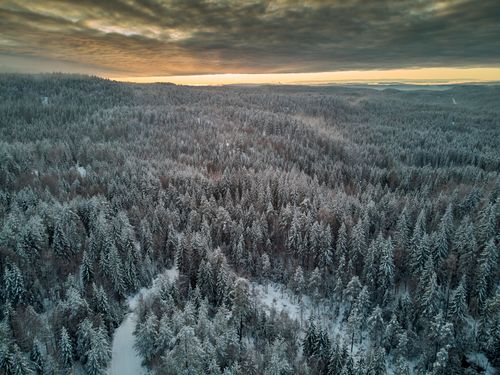 Free Stunning aerial photograph of a snow-covered forest in Lørenskog, Norway at sunset. Stock Photo